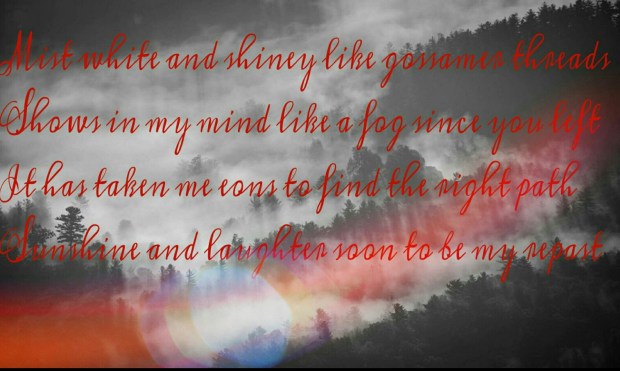 wp-1456172177020 image