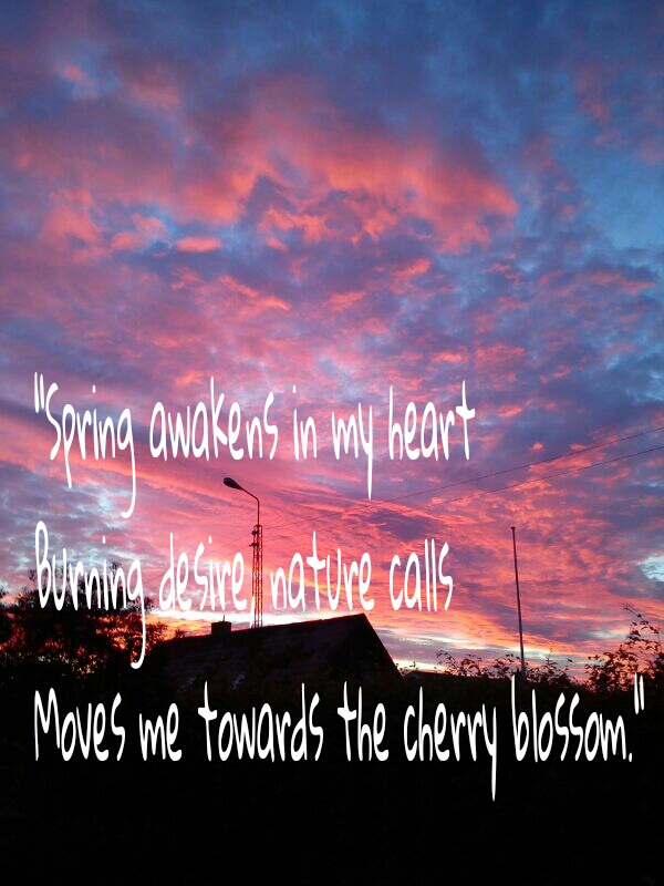 wp-1458249893120 image