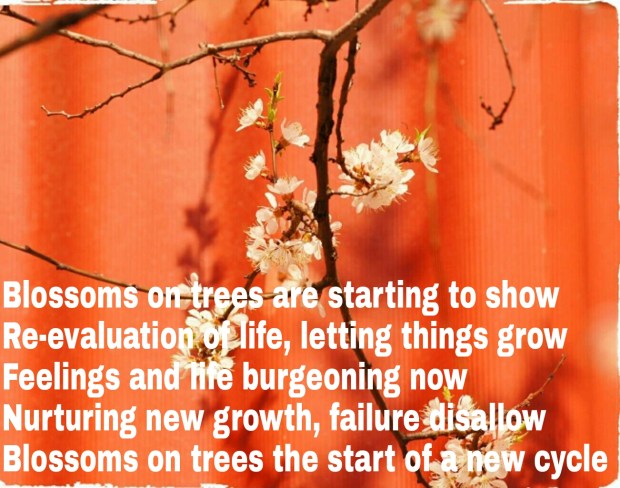 wp-1461048144423 image