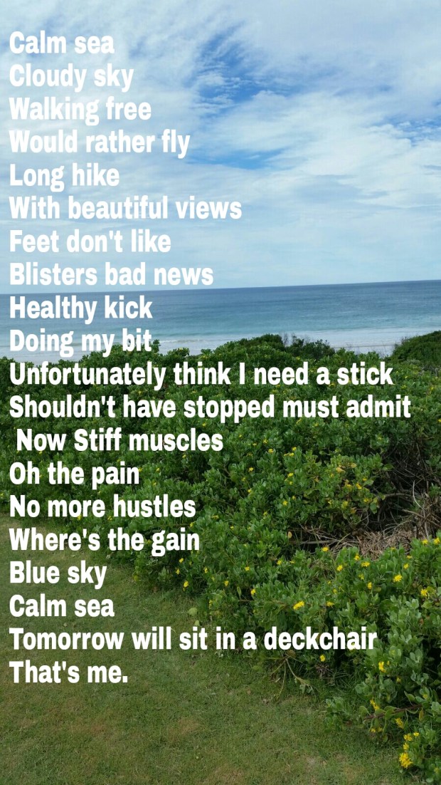 wp-1461403718797 image