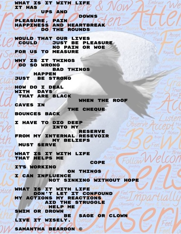 newproject_1_original-18